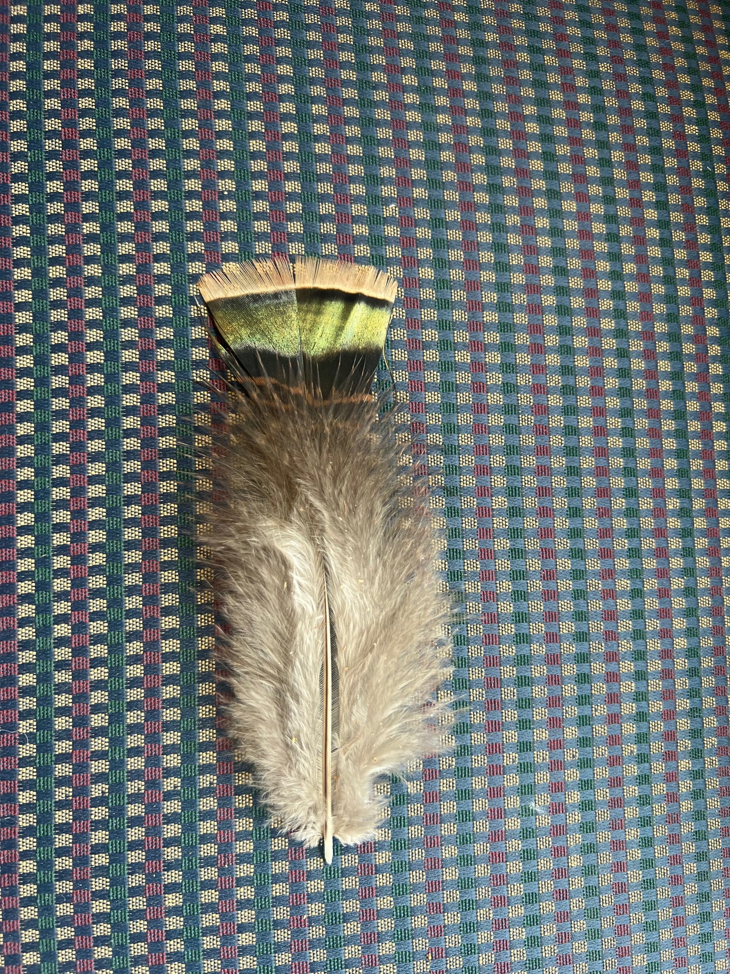 Genuine Turkey Hat Feathers