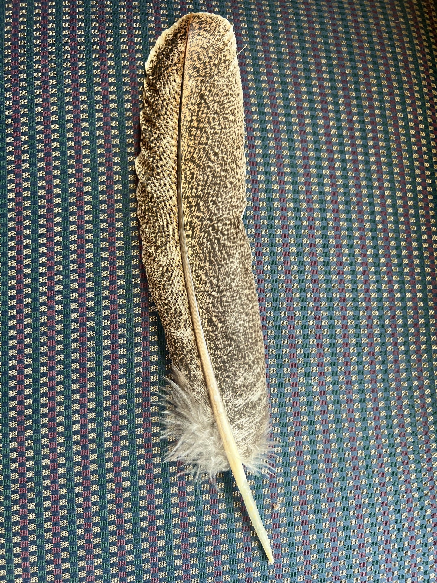 Genuine Turkey Hat Feathers