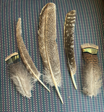 Genuine Turkey Hat Feathers